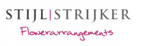 Stijl Strijker